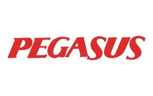 Pegasus